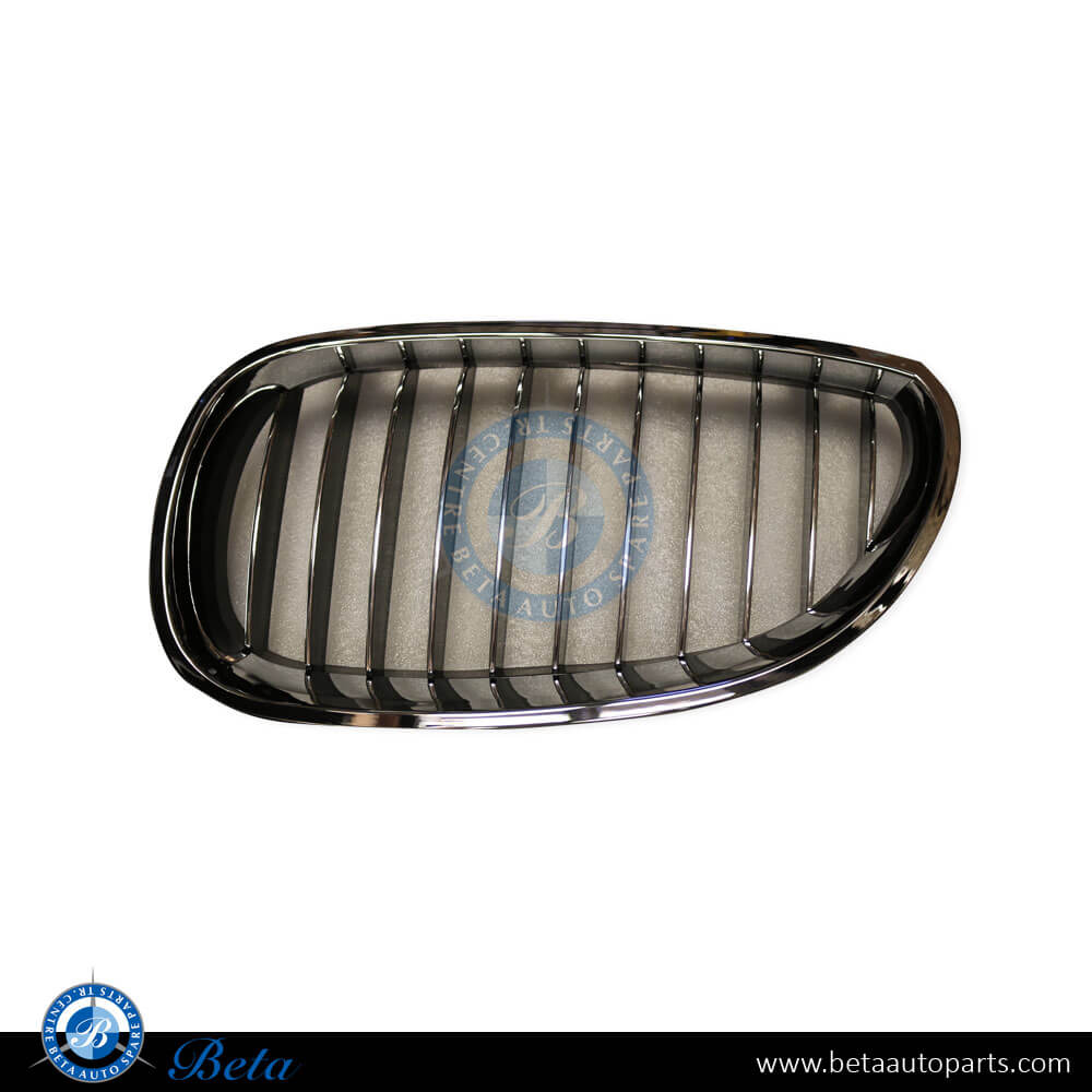 Left Side Radiator Grille for BMW 5 Series E60 2003-2009 models, Part Number 51137065701 Left Side Radiator Grille for BMW 5 Series E60 2003-2009 models, Part Number 51137065701